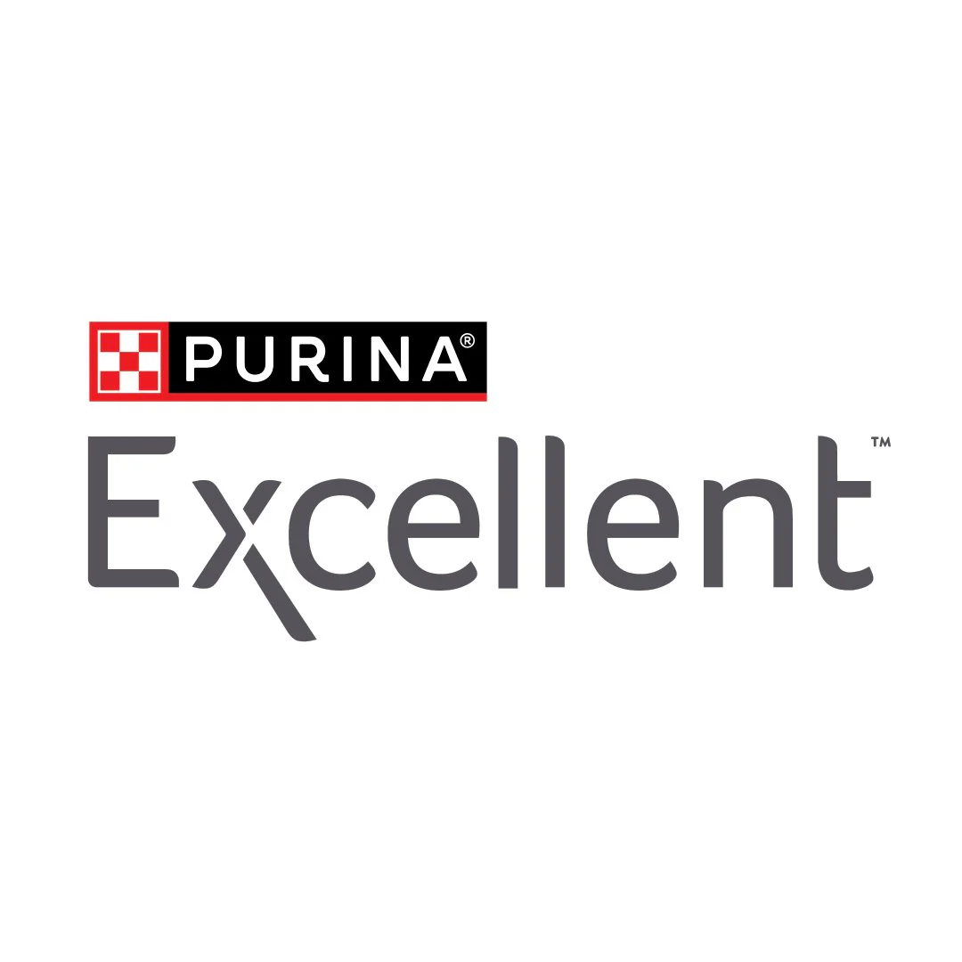 Excellent Logo