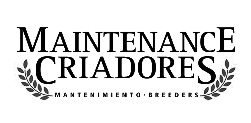Maintenance Criadores Logo
