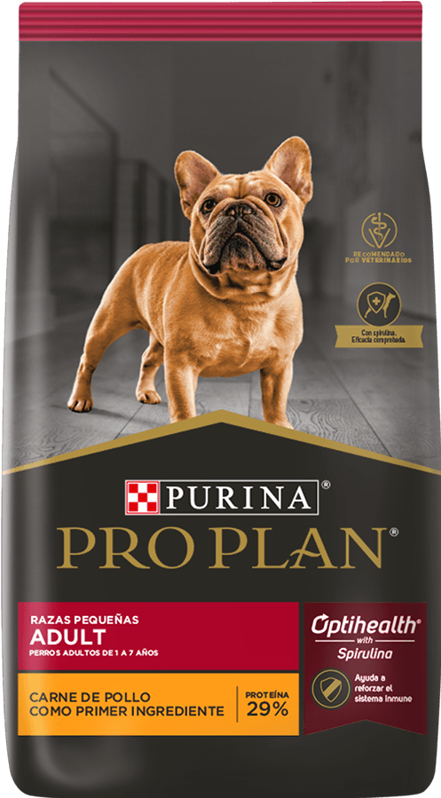 Royal Canin Maxi Adult